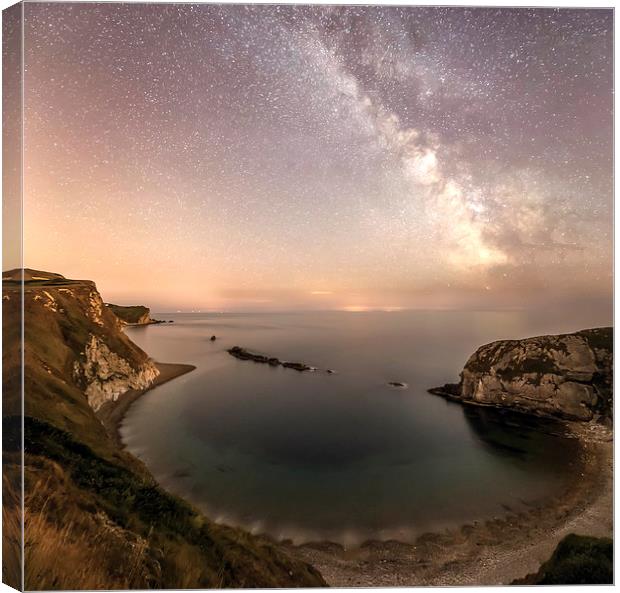  The Milky way over Man O War cove  Canvas Print by Shaun Jacobs