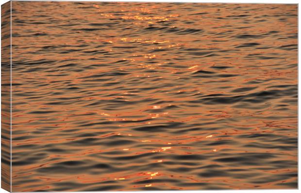 Sunset on the sea Canvas Print by Shaun Jacobs