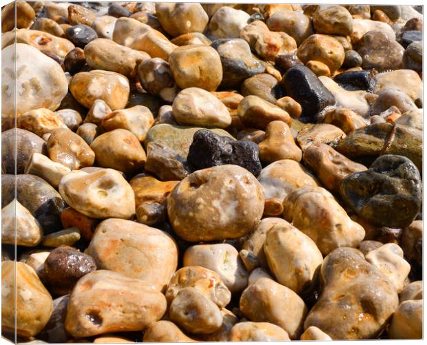 Pebbles on a beach  Canvas Print by Shaun Jacobs