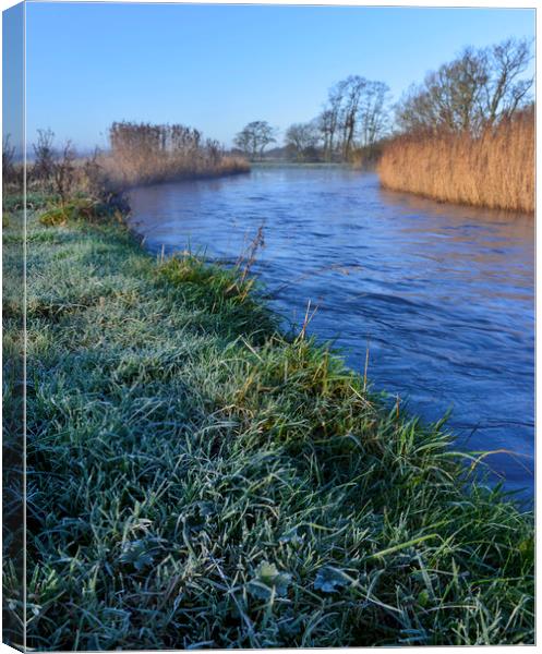 Frosty morning by the river Canvas Print by Shaun Jacobs