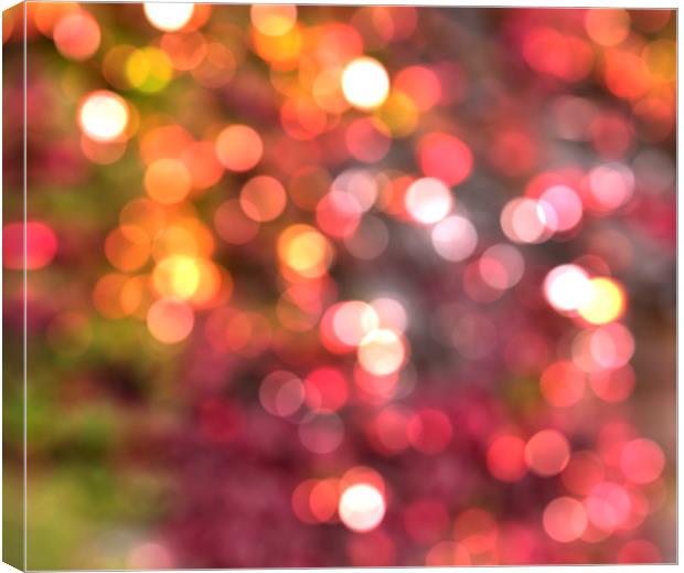 Bokeh lights  Canvas Print by Shaun Jacobs