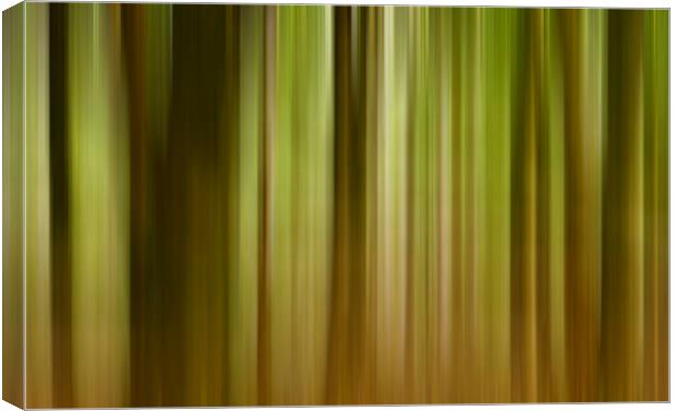 Motion blur  Canvas Print by Shaun Jacobs