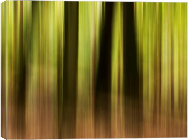 Woodland motion blur  Canvas Print by Shaun Jacobs