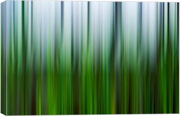 Motion blur  Canvas Print by Shaun Jacobs
