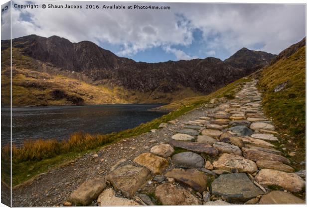 Pathway to Snowdon  Canvas Print by Shaun Jacobs
