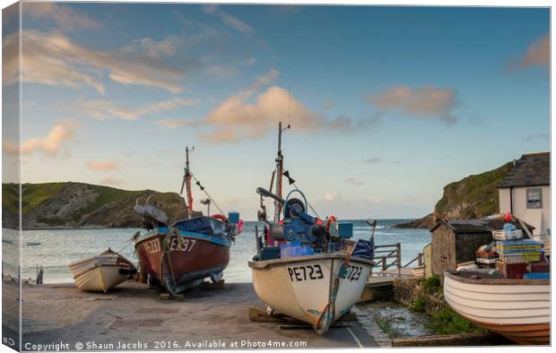 Fishing boats on Lulworth cove  Canvas Print by Shaun Jacobs