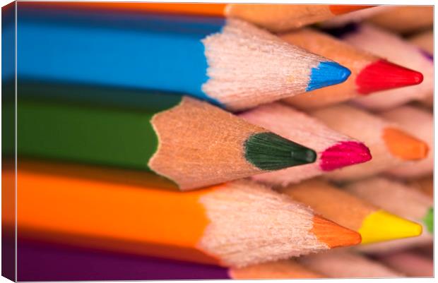 Coloured pencils  Canvas Print by Shaun Jacobs