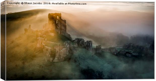 Corfe castle misty morning  Canvas Print by Shaun Jacobs