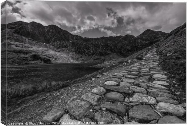 Snowdonia pathway  Canvas Print by Shaun Jacobs