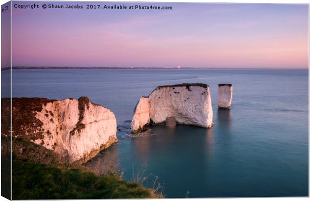 Old Harry Rock  Canvas Print by Shaun Jacobs