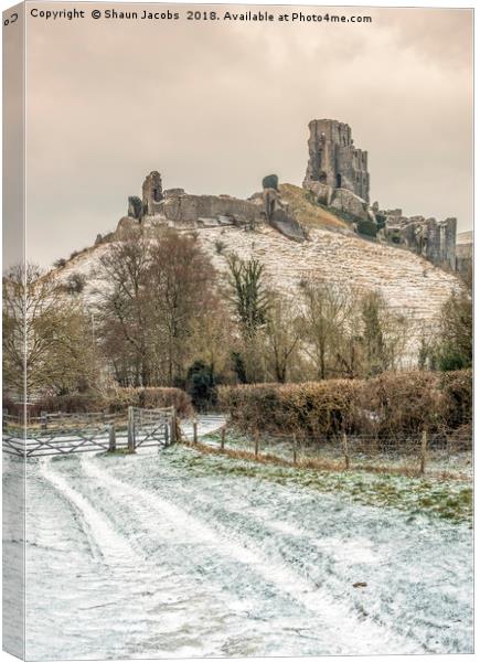 Corfe Castle winter pathway Canvas Print by Shaun Jacobs