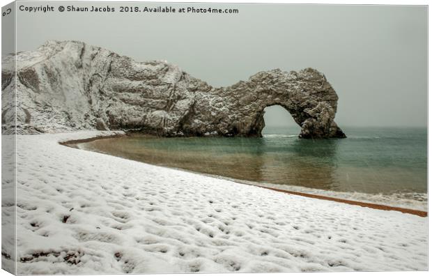 Durdle Door winter morning  Canvas Print by Shaun Jacobs