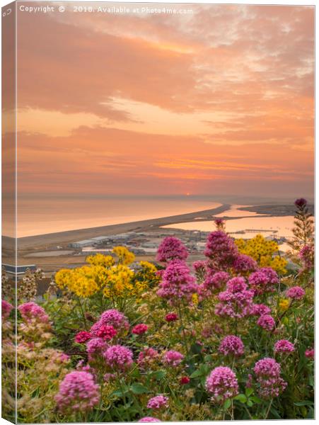 Chesil Beach sunset  Canvas Print by Shaun Jacobs