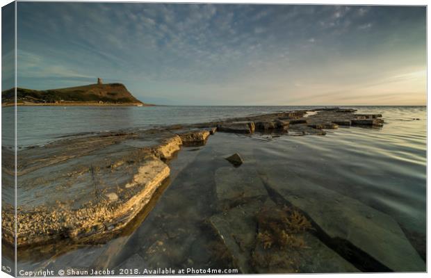 Kimmeridge ledge  Canvas Print by Shaun Jacobs