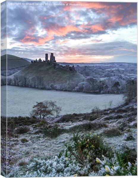 Fire and Ice at Corfe Castle  Canvas Print by Shaun Jacobs