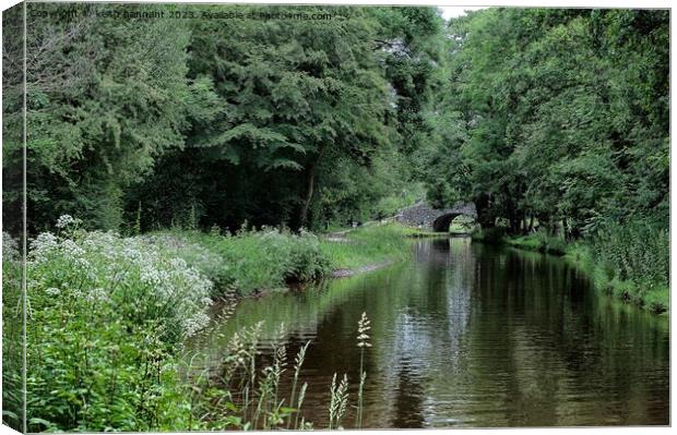 Mon and Brec canal Canvas Print by keith hannant