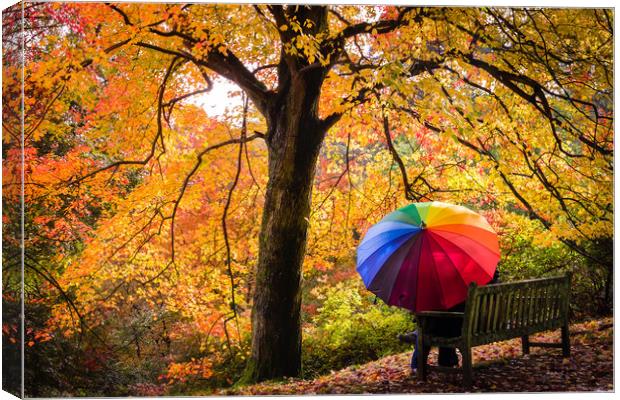 Autumn Colours in the Rain Canvas Print by Kelvin Trundle