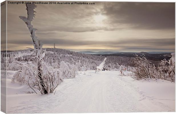 Fichtelberg, Oberwiesenthal Canvas Print by Julie Woodhouse