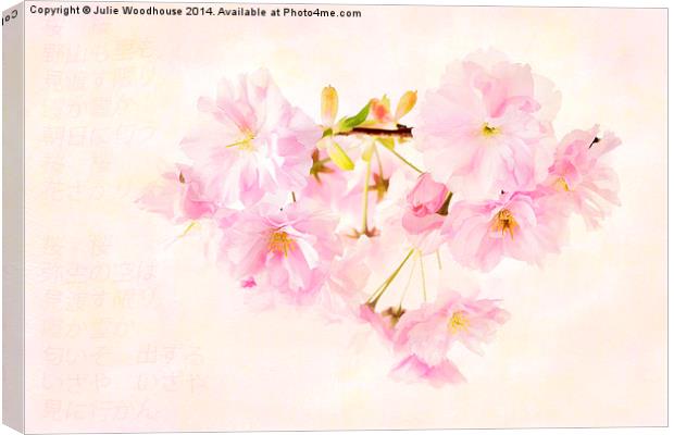 Sakura Canvas Print by Julie Woodhouse
