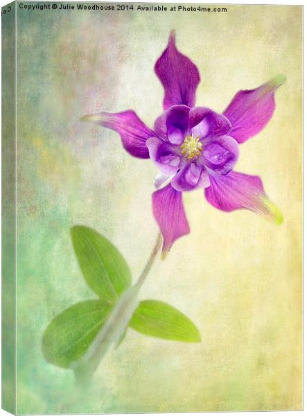 Aquilegia Canvas Print by Julie Woodhouse