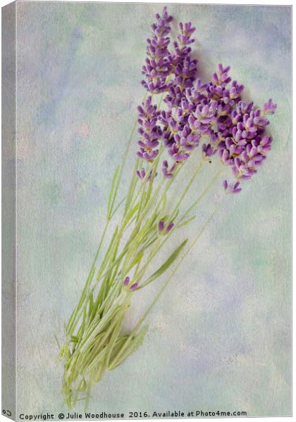 Lavender flowers Canvas Print by Julie Woodhouse