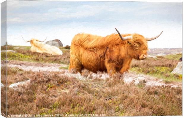 Highland Cattle Canvas Print by Julie Woodhouse