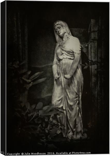 Dark Angel Canvas Print by Julie Woodhouse