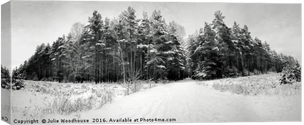 Winter forest Canvas Print by Julie Woodhouse
