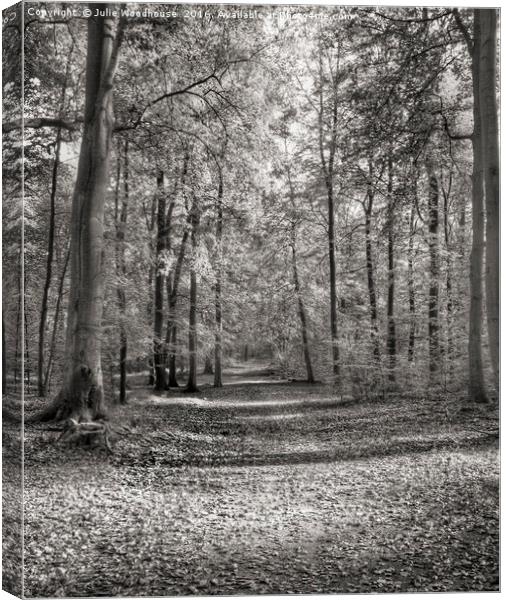 forest path Canvas Print by Julie Woodhouse