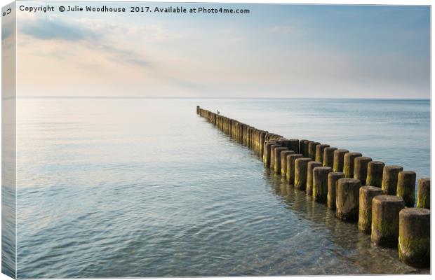 Sea Groynes Canvas Print by Julie Woodhouse