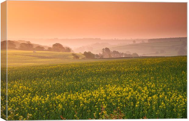 The Cotswold Hills Canvas Print by Iksung Nah