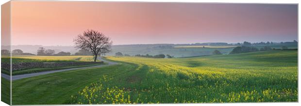 The Cotswold Hills Canvas Print by Iksung Nah