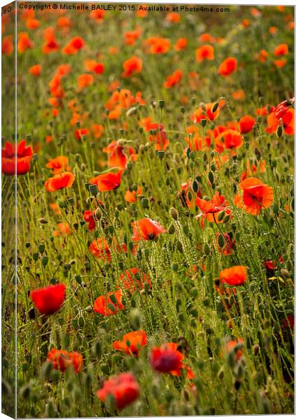  Poppy Dream Canvas Print by Michelle BAILEY