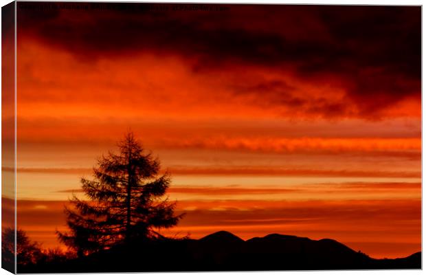 Sunset Silhouettes Canvas Print by Michelle BAILEY