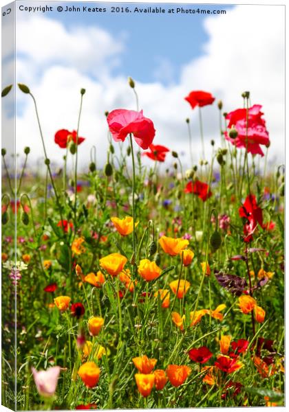 Wildflowers in a meadow on a sunny summers day Canvas Print by John Keates
