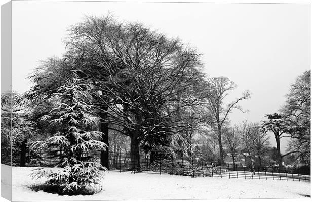 Winter at Cusworth Canvas Print by John Atkins