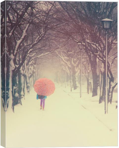 The pink umbrella Canvas Print by Chris Gilloch