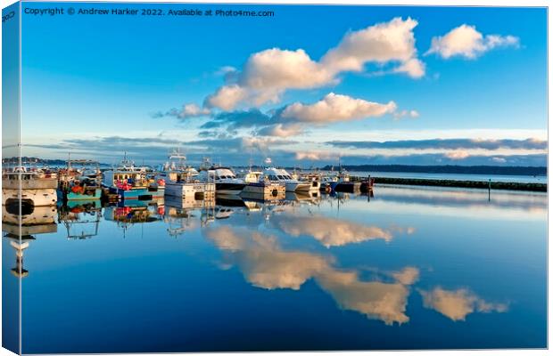 Boats moored at Fishermans Dock in Poole, Dorset Canvas Print by Andrew Harker