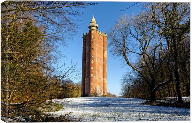 King Alfreds Tower, Stourton, Wiltshire, UK Canvas Print by Andrew Harker