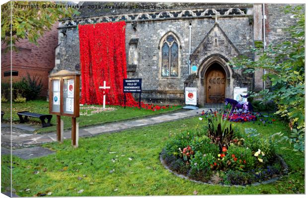 Warminster Town Hand-Knitted Poppies Canvas Print by Andrew Harker