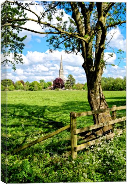 Salisbury Cathedral, Wiltshire, United Kingdom Canvas Print by Andrew Harker