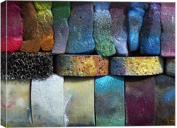 Multicolored sponges Canvas Print by Harry Hadders