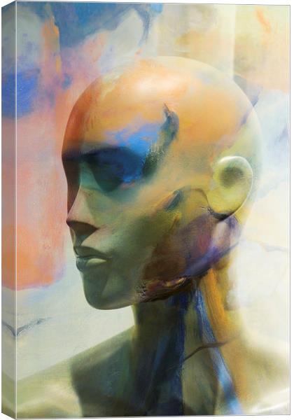 Art Head Canvas Print by Harry Hadders