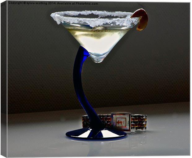  Time for cocktails  Canvas Print by sylvia scotting