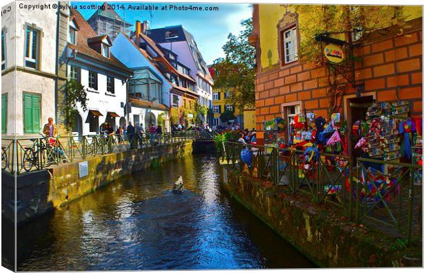  Town With A Difference  Canvas Print by sylvia scotting