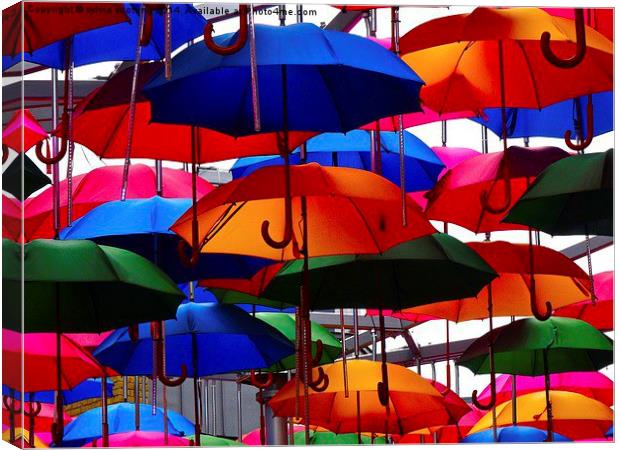  A shower of umbrellas  Canvas Print by sylvia scotting