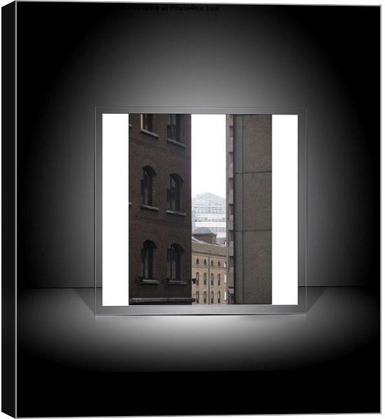  Look through any window Canvas Print by sylvia scotting