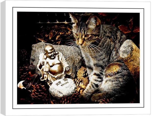  Cat and  Buddha relaxing  Canvas Print by sylvia scotting