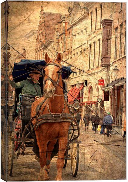  Horse and Driver in Brugge  Canvas Print by sylvia scotting