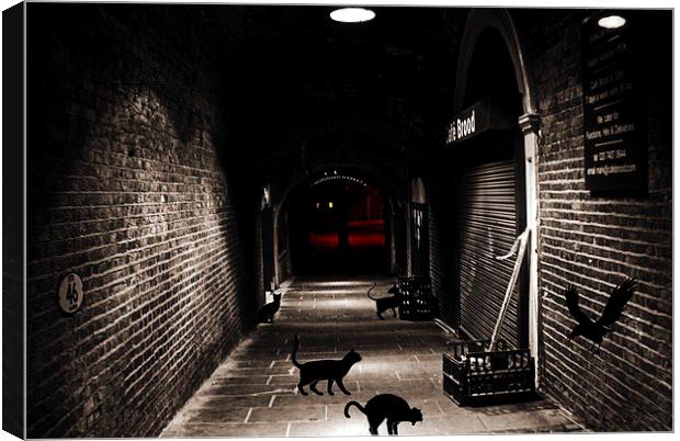  Alley Cats Canvas Print by sylvia scotting